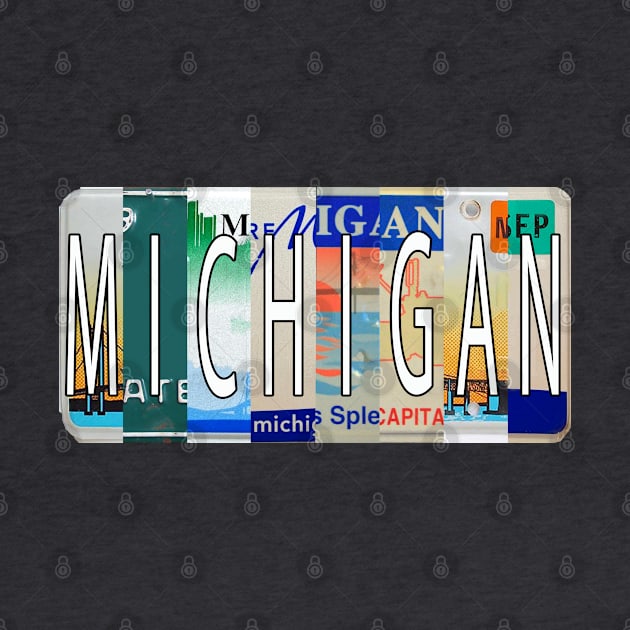 Michigan License Plates by stermitkermit